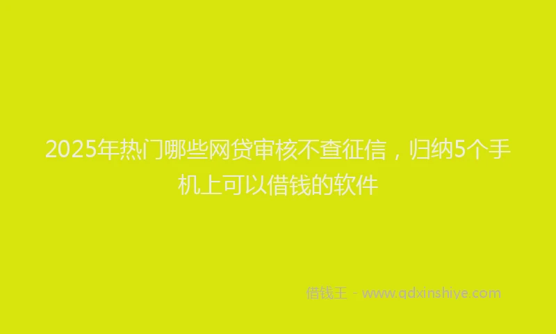 2025年热门哪些网贷审核不查征信，归纳5个手机上可以借钱的软件