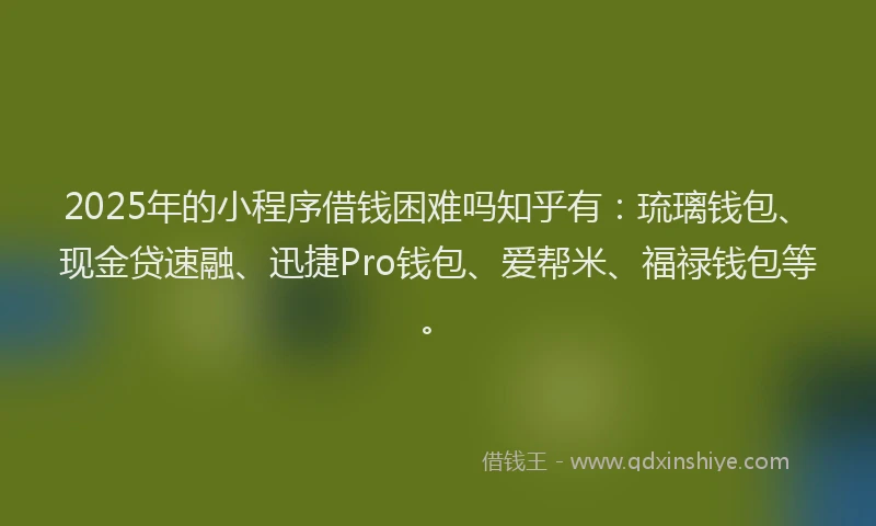 2025年的小程序借钱困难吗知乎有：琉璃钱包、现金贷速融、迅捷Pro钱包、爱帮米、福禄钱包等。