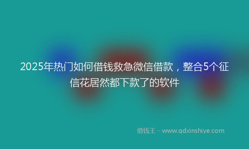 2025年热门如何借钱救急微信借款，整合5个征信花居然都下款了的软件