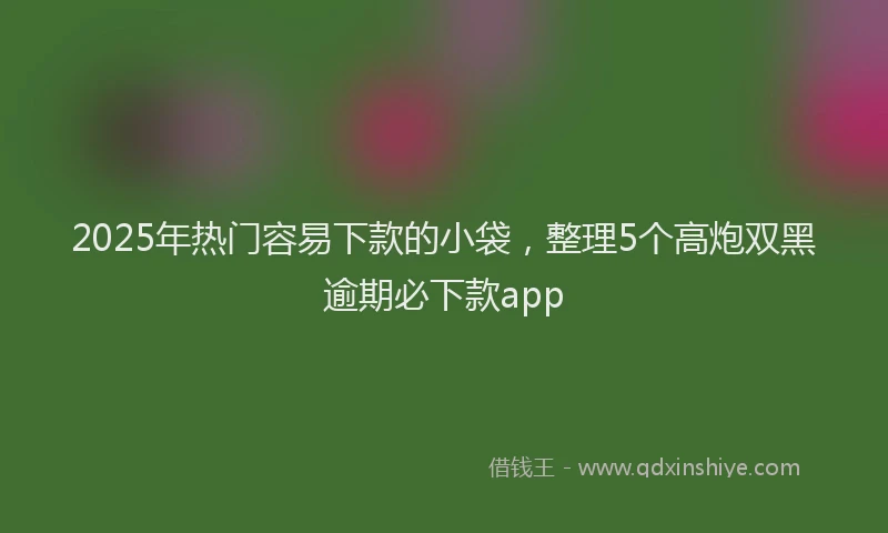 2025年热门容易下款的小袋，整理5个高炮双黑逾期必下款app