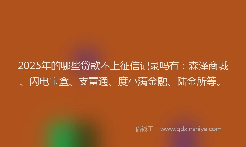 2025年的哪些贷款不上征信记录吗有：森泽商城、闪电宝盒、支富通、度小满金融、陆金所等。
