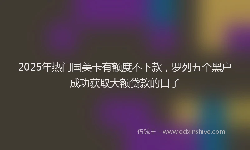 2025年热门国美卡有额度不下款，罗列五个黑户成功获取大额贷款的口子