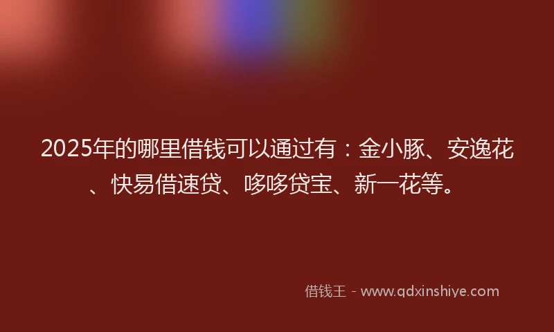 2025年的哪里借钱可以通过有：金小豚、安逸花、快易借速贷、哆哆贷宝、新一花等。