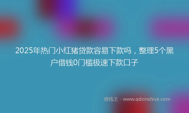 2025年热门小红猪贷款容易下款吗，整理5个黑户借钱0门槛极速下款口子