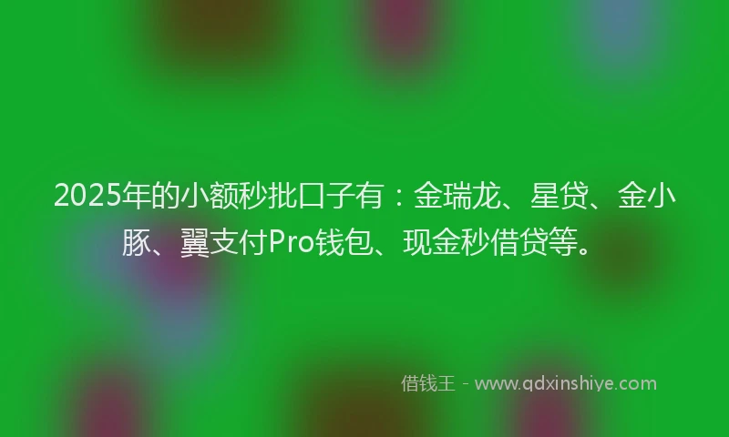 2025年的小额秒批口子有：金瑞龙、星贷、金小豚、翼支付Pro钱包、现金秒借贷等。