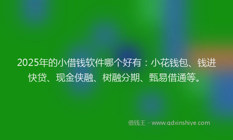 2025年的小借钱软件哪个好有：小花钱包、钱进快贷、现金侠融、树融分期、甄易借通等。
