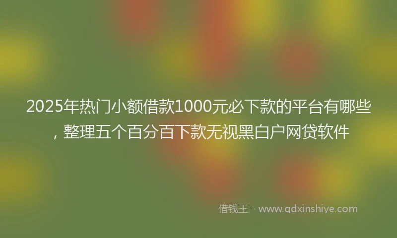 2025年热门小额借款1000元必下款的平台有哪些，整理五个百分百下款无视黑白户网贷软件