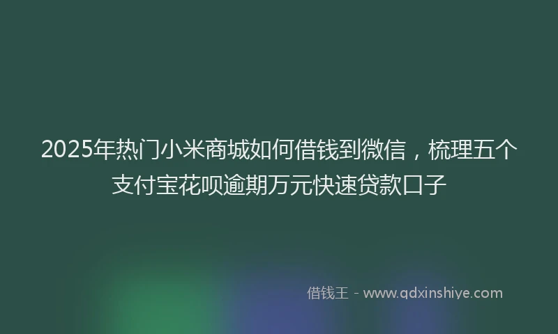 2025年热门小米商城如何借钱到微信，梳理五个支付宝花呗逾期万元快速贷款口子