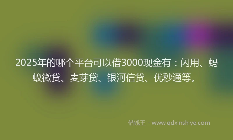 2025年的哪个平台可以借3000现金有：闪用、蚂蚁微贷、麦芽贷、银河信贷、优秒通等。