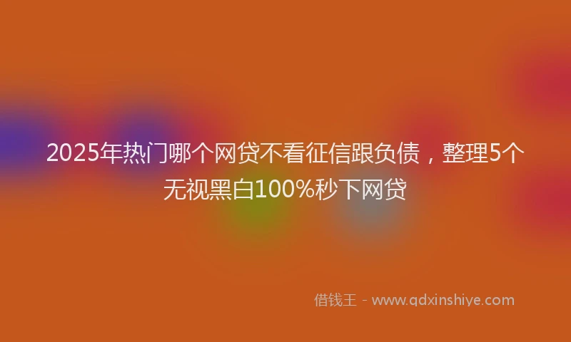 2025年热门哪个网贷不看征信跟负债，整理5个无视黑白100%秒下网贷