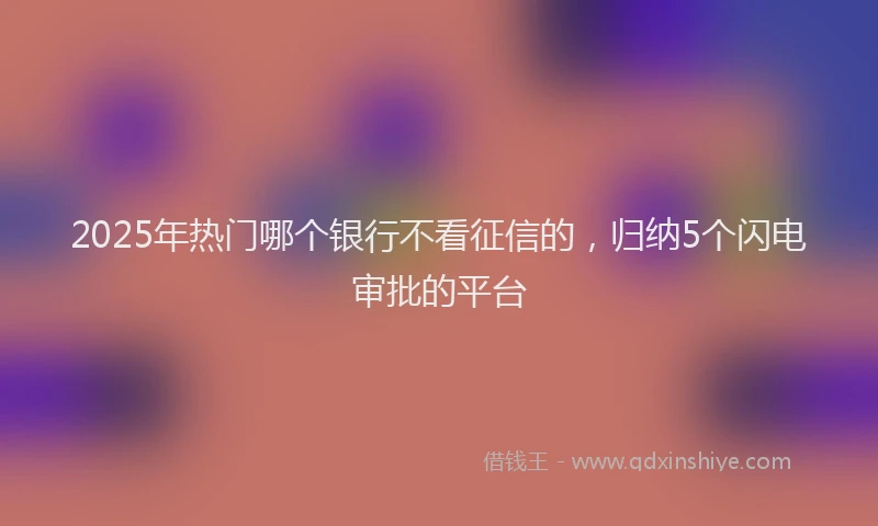 2025年热门哪个银行不看征信的，归纳5个闪电审批的平台