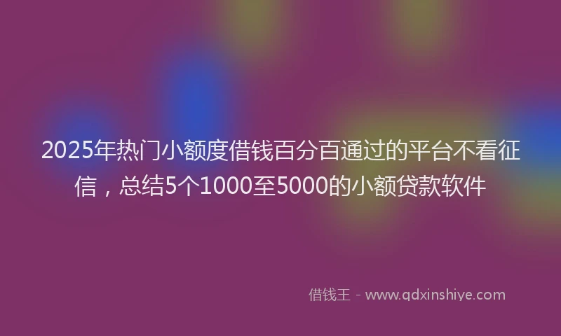 2025年热门小额度借钱百分百通过的平台不看征信，总结5个1000至5000的小额贷款软件