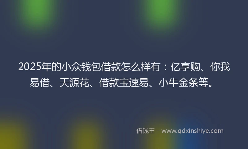 2025年的小众钱包借款怎么样有：亿享购、你我易借、天源花、借款宝速易、小牛金条等。