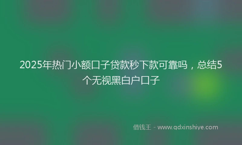 2025年热门小额口子贷款秒下款可靠吗,总结5个无视黑白户口子
