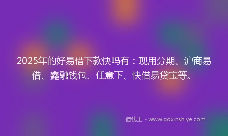 2025年的好易借下款快吗有：现用分期、沪商易借、鑫融钱包、任意下、快借易贷宝等。