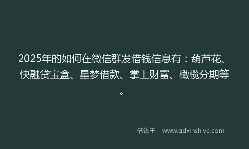 2025年的如何在微信群发借钱信息有：葫芦花、快融贷宝盒、星梦借款、掌上财富、橄榄分期等。
