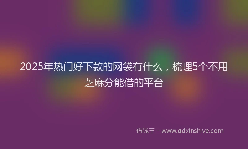 2025年热门好下款的网袋有什么，梳理5个不用芝麻分能借的平台