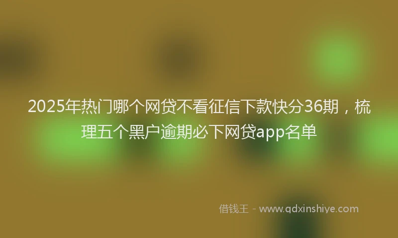 2025年热门哪个网贷不看征信下款快分36期，梳理五个黑户逾期必下网贷app名单
