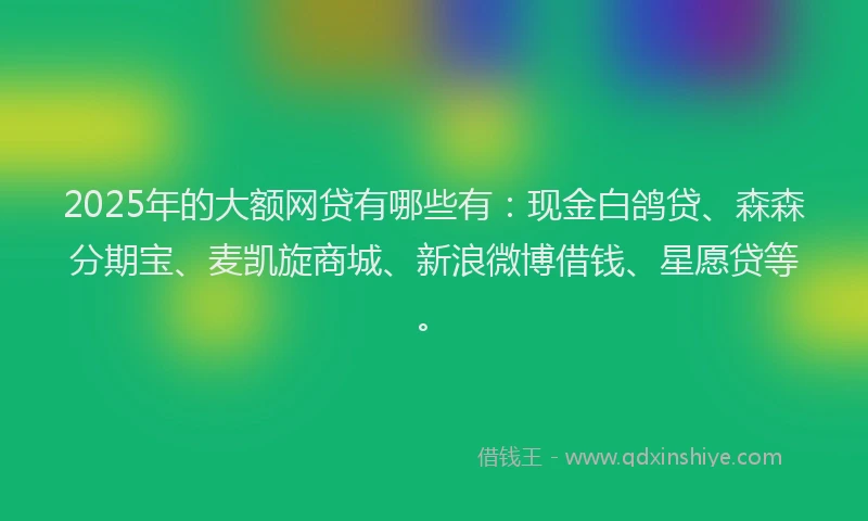 2025年的大额网贷有哪些有：现金白鸽贷、森森分期宝、麦凯旋商城、新浪微博借钱、星愿贷等。