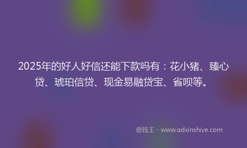 2025年的好人好信还能下款吗有：花小猪、臻心贷、琥珀信贷、现金易融贷宝、省呗等。
