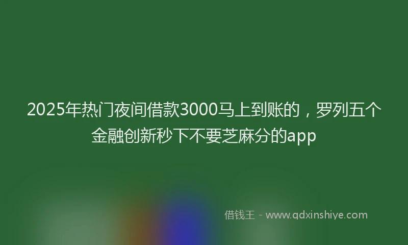 2025年热门夜间借款3000马上到账的，罗列五个金融创新秒下不要芝麻分的app