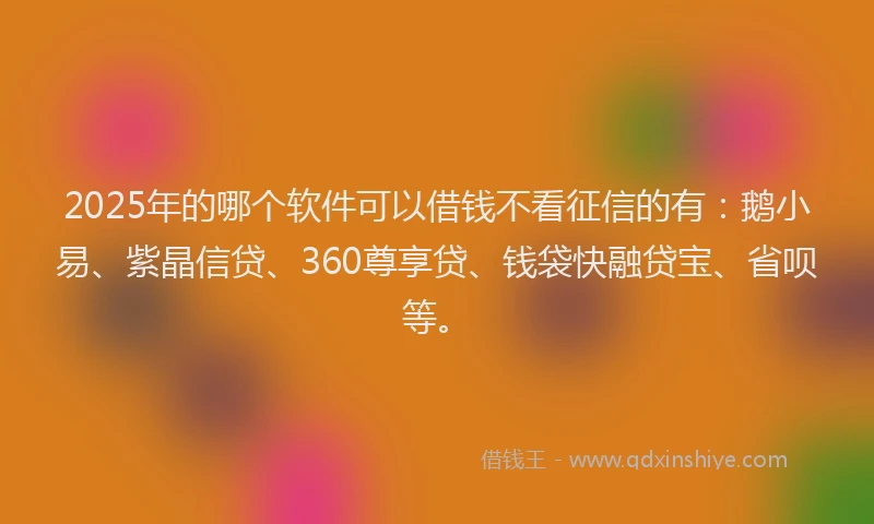 2025年的哪个软件可以借钱不看征信的有：鹅小易、紫晶信贷、360尊享贷、钱袋快融贷宝、省呗等。