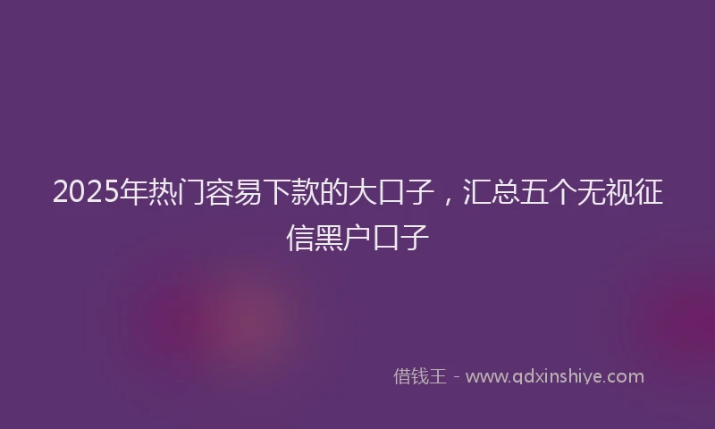 2025年热门容易下款的大口子，汇总五个无视征信黑户口子