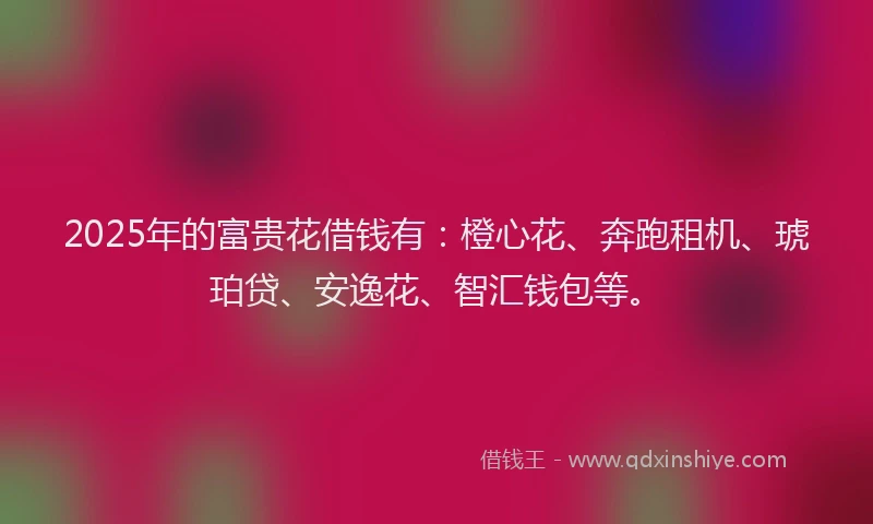 2025年的富贵花借钱有:橙心花、奔跑租机、琥珀贷、安逸花、智汇钱包等。