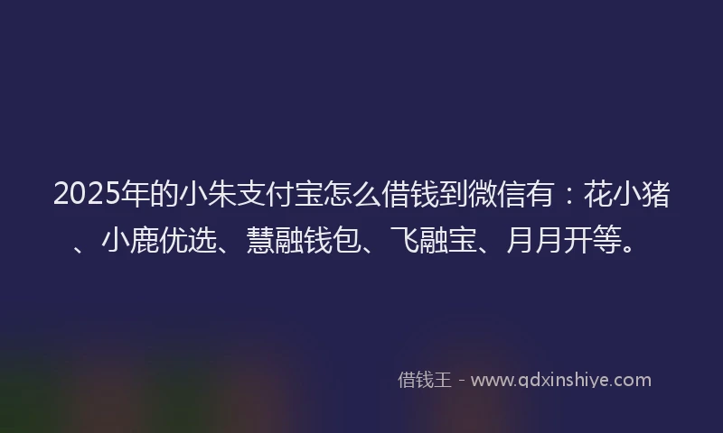 2025年的小朱支付宝怎么借钱到微信有：花小猪、小鹿优选、慧融钱包、飞融宝、月月开等。