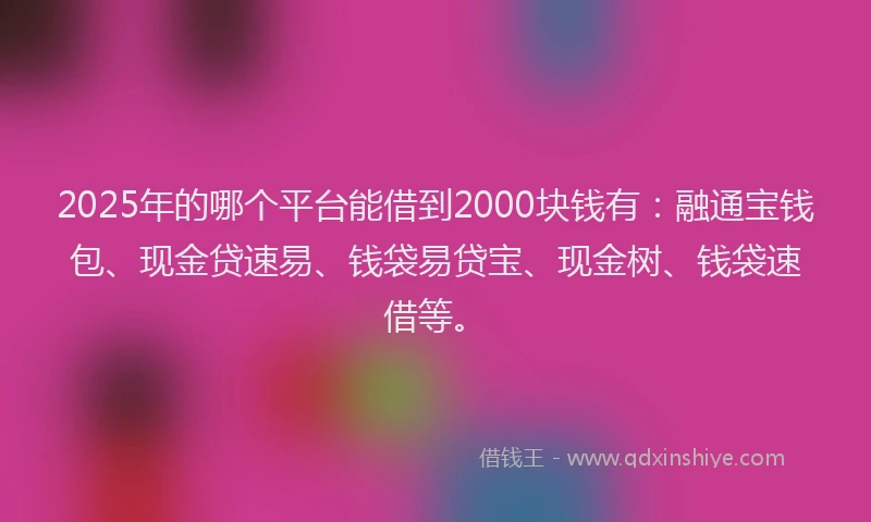 2025年的哪个平台能借到2000块钱有：融通宝钱包、现金贷速易、钱袋易贷宝、现金树、钱袋速借等。