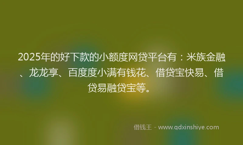 2025年的好下款的小额度网贷平台有：米族金融、龙龙享、百度度小满有钱花、借贷宝快易、借贷易融贷宝等。