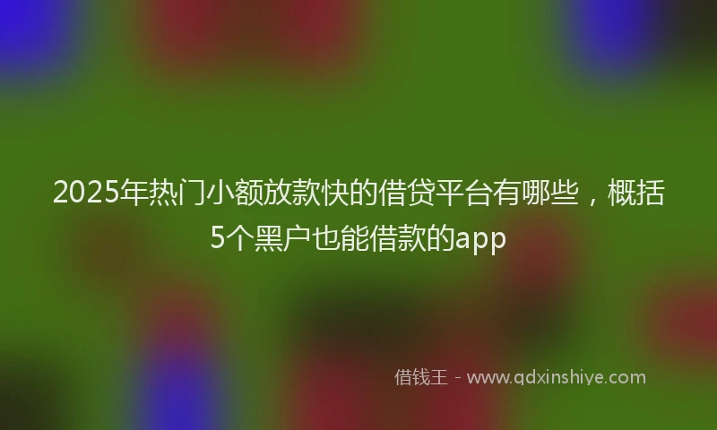 2025年热门小额放款快的借贷平台有哪些，概括5个黑户也能借款的app