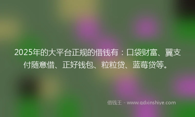 2025年的大平台正规的借钱有：口袋财富、翼支付随意借、正好钱包、粒粒贷、蓝莓贷等。