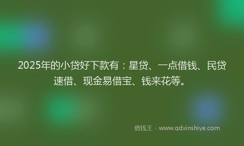 2025年的小贷好下款有：星贷、一点借钱、民贷速借、现金易借宝、钱来花等。