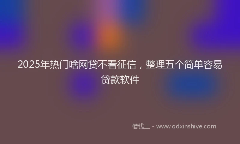 2025年热门啥网贷不看征信，整理五个简单容易贷款软件