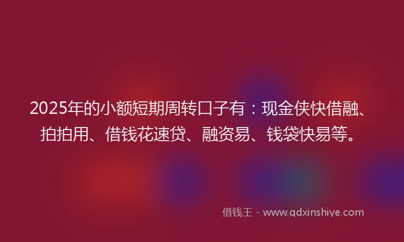 2025年的小额短期周转口子有：现金侠快借融、拍拍用、借钱花速贷、融资易、钱袋快易等。