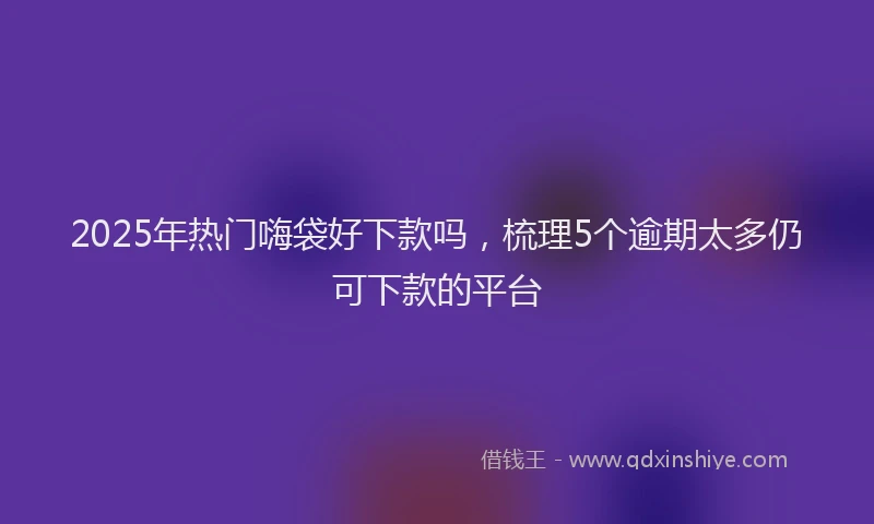 2025年热门嗨袋好下款吗，梳理5个逾期太多仍可下款的平台