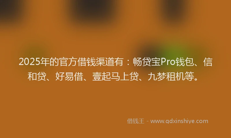 2025年的官方借钱渠道有：畅贷宝Pro钱包、信和贷、好易借、壹起马上贷、九梦租机等。
