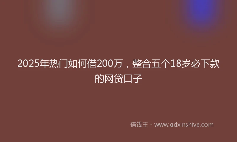 2025年热门如何借200万，整合五个18岁必下款的网贷口子