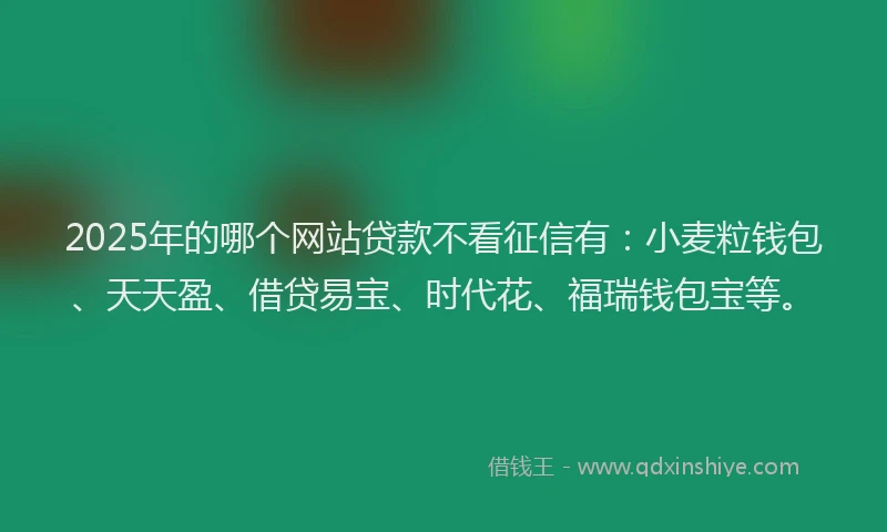 2025年的哪个网站贷款不看征信有：小麦粒钱包、天天盈、借贷易宝、时代花、福瑞钱包宝等。