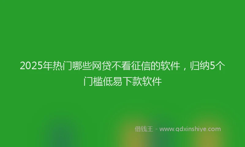 2025年热门哪些网贷不看征信的软件，归纳5个门槛低易下款软件