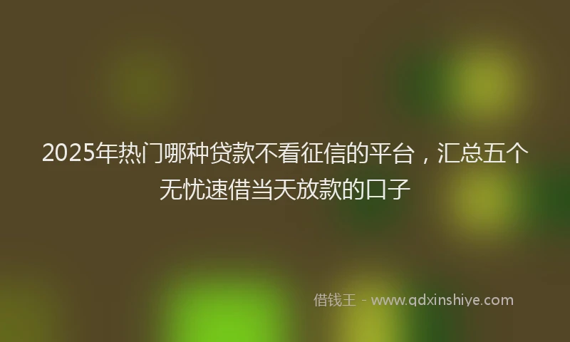 2025年热门哪种贷款不看征信的平台，汇总五个无忧速借当天放款的口子