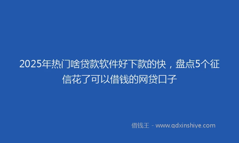 2025年热门啥贷款软件好下款的快，盘点5个征信花了可以借钱的网贷口子
