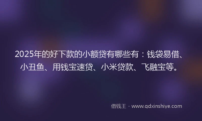 2025年的好下款的小额贷有哪些有：钱袋易借、小丑鱼、用钱宝速贷、小米贷款、飞融宝等。