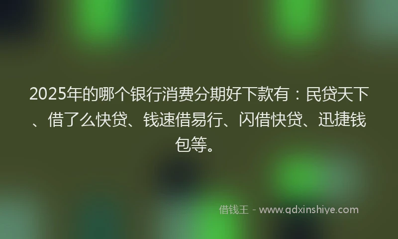 2025年的哪个银行消费分期好下款有：民贷天下、借了么快贷、钱速借易行、闪借快贷、迅捷钱包等。