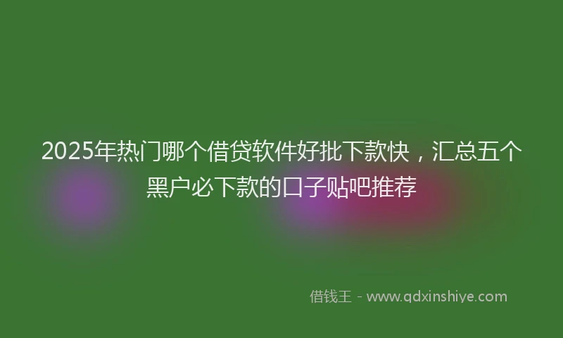 2025年热门哪个借贷软件好批下款快，汇总五个黑户必下款的口子贴吧推荐