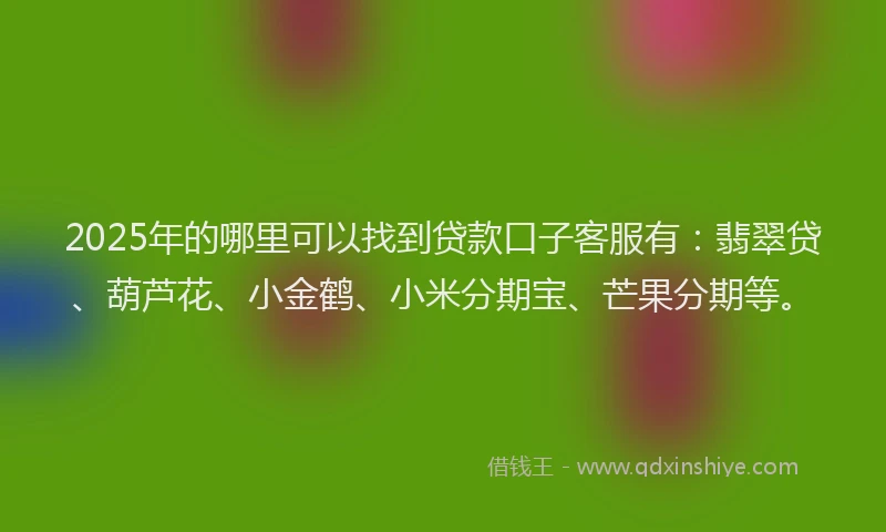 2025年的哪里可以找到贷款口子客服有：翡翠贷、葫芦花、小金鹤、小米分期宝、芒果分期等。