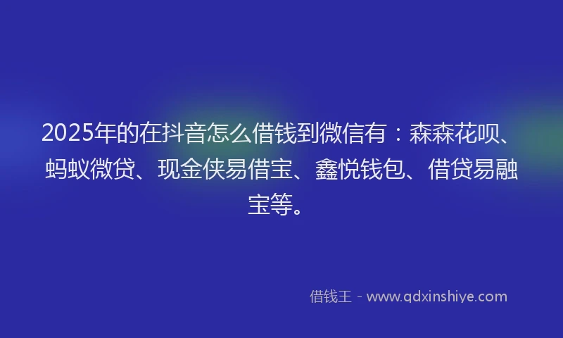 2025年的在抖音怎么借钱到微信有：森森花呗、蚂蚁微贷、现金侠易借宝、鑫悦钱包、借贷易融宝等。