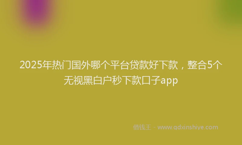 2025年热门国外哪个平台贷款好下款，整合5个无视黑白户秒下款口子app