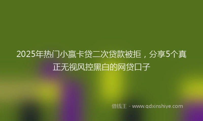 2025年热门小赢卡贷二次贷款被拒,分享5个真正无视风控黑白的网贷口子